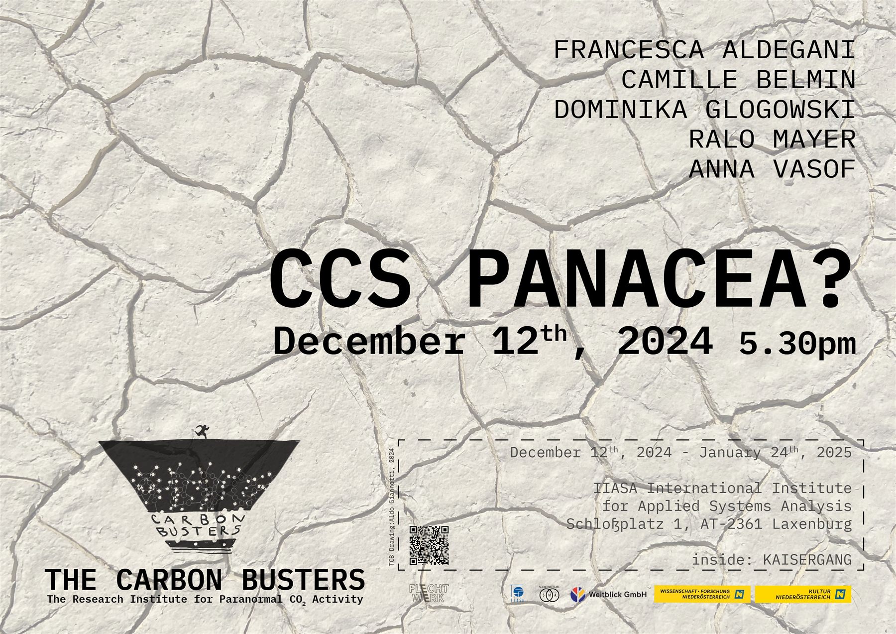 Carbon Capture and Storage Panacea?